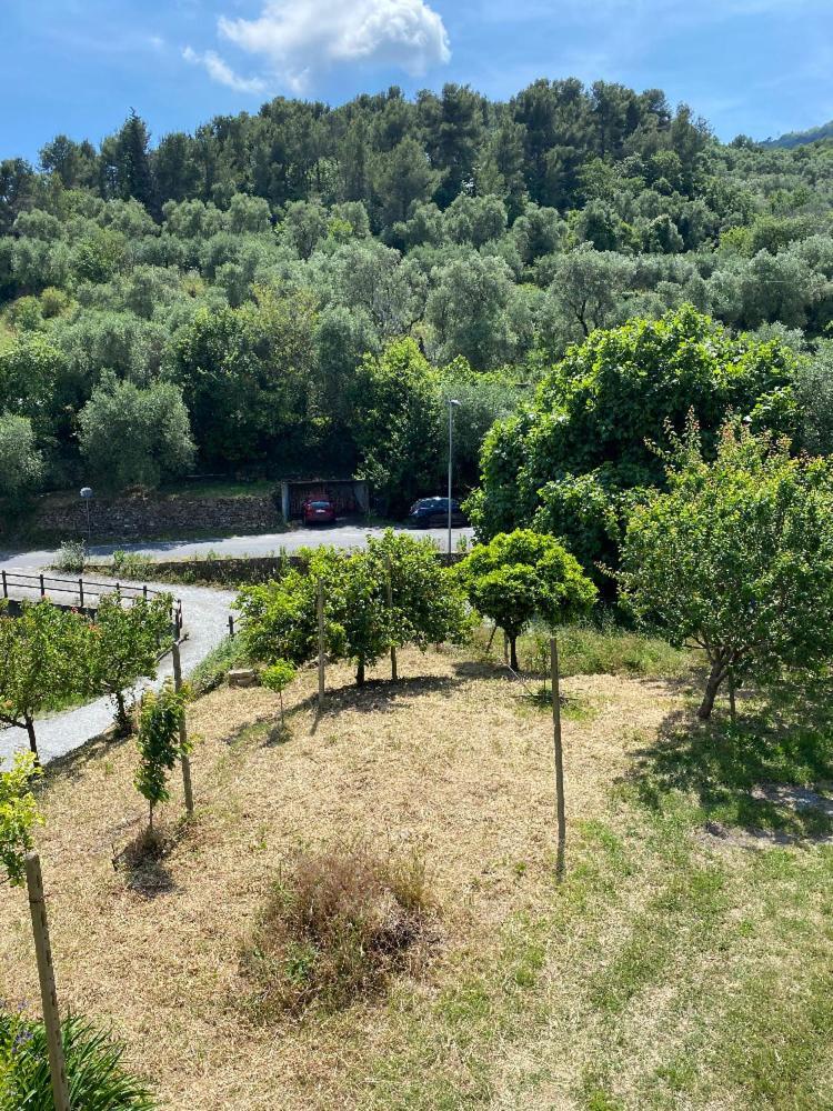 Appartamento Andora Tra Gli Ulivi Molino Nuovo  외부 사진